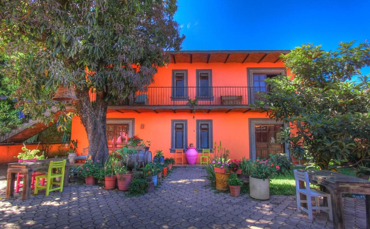 Santa Lucia Hotel Boutique Mascota Dış mekan fotoğraf